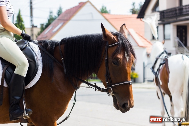 Zdjęcie w galerii na portalu naszraciborz.pl: Kandydatki i rolnicy, czyli powiew młodości na dożynkach w Rudniku  wiadomości z regionu