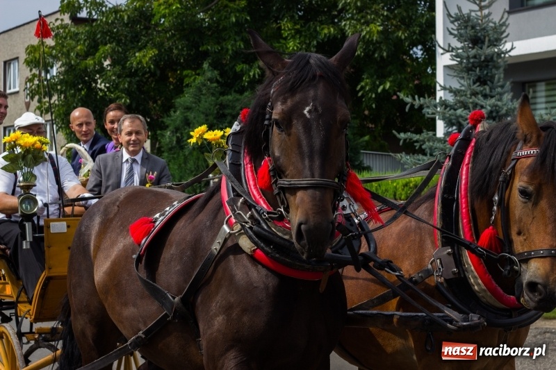 Zdjęcie w galerii na portalu naszraciborz.pl: Kandydatki i rolnicy, czyli powiew młodości na dożynkach w Rudniku  wiadomości z regionu