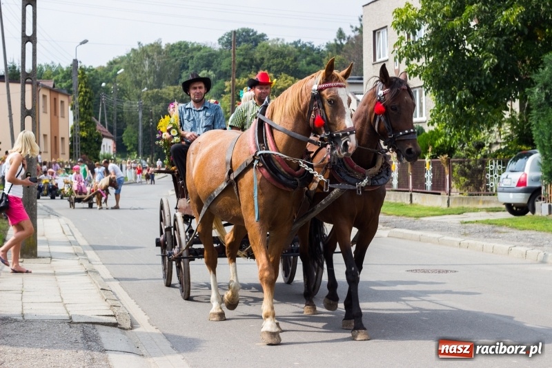 Zdjęcie w galerii na portalu naszraciborz.pl: Kandydatki i rolnicy, czyli powiew młodości na dożynkach w Rudniku  wiadomości z regionu