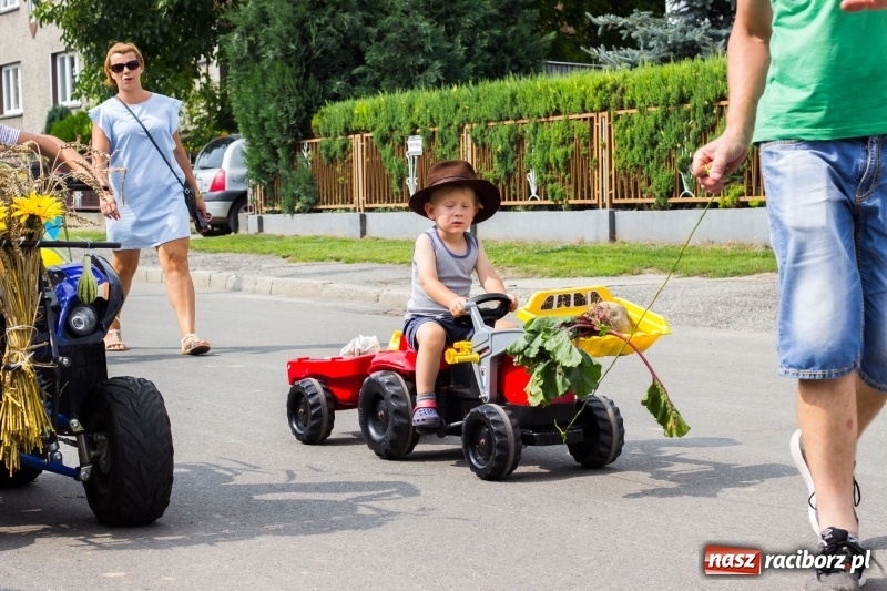 Zdjęcie w galerii na portalu naszraciborz.pl: Kandydatki i rolnicy, czyli powiew młodości na dożynkach w Rudniku  wiadomości z regionu