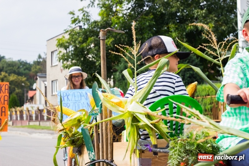 Zdjęcie w galerii na portalu naszraciborz.pl: Kandydatki i rolnicy, czyli powiew młodości na dożynkach w Rudniku  wiadomości z regionu