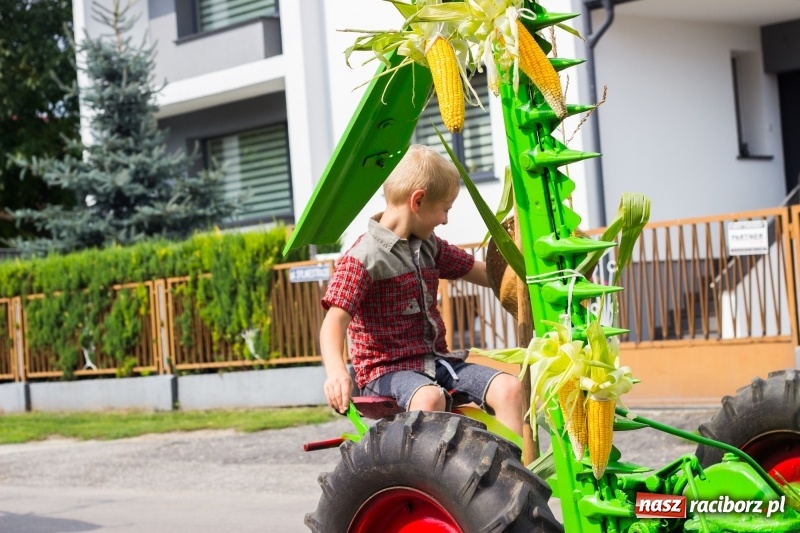 Zdjęcie w galerii na portalu naszraciborz.pl: Kandydatki i rolnicy, czyli powiew młodości na dożynkach w Rudniku  wiadomości z regionu