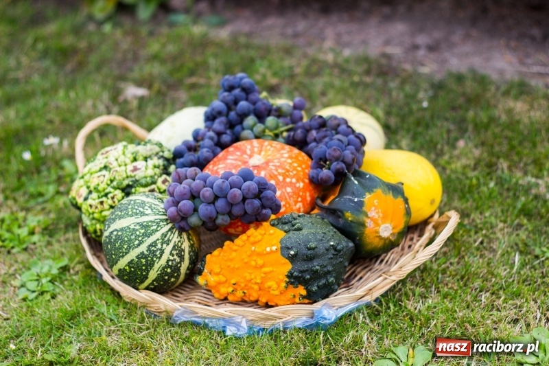 Zdjęcie w galerii na portalu naszraciborz.pl: Kandydatki i rolnicy, czyli powiew młodości na dożynkach w Rudniku  wiadomości z regionu