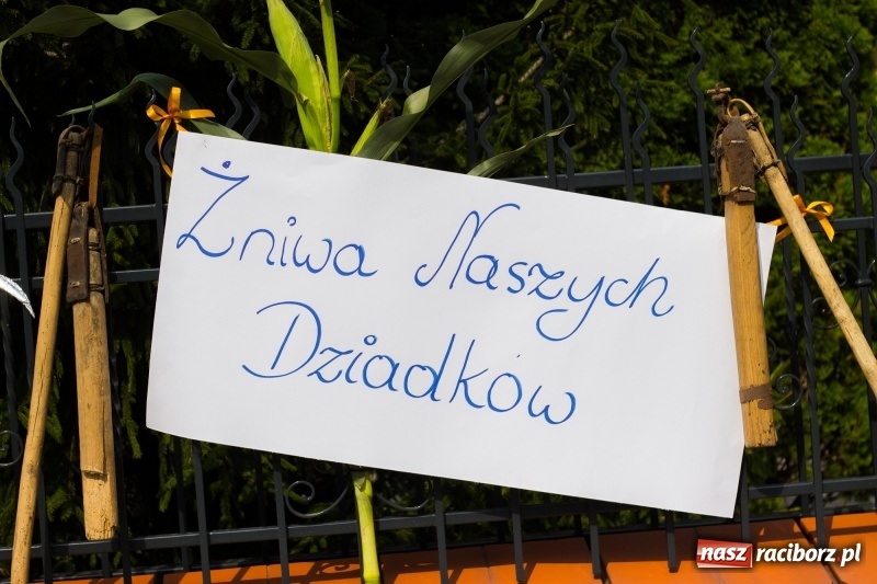 Zdjęcie w galerii na portalu naszraciborz.pl: Kandydatki i rolnicy, czyli powiew młodości na dożynkach w Rudniku  wiadomości z regionu