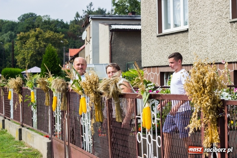 Zdjęcie w galerii na portalu naszraciborz.pl: Kandydatki i rolnicy, czyli powiew młodości na dożynkach w Rudniku  wiadomości z regionu