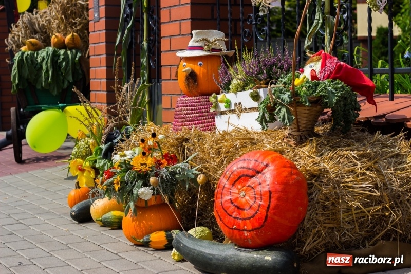 Zdjęcie w galerii na portalu naszraciborz.pl: Kandydatki i rolnicy, czyli powiew młodości na dożynkach w Rudniku  wiadomości z regionu