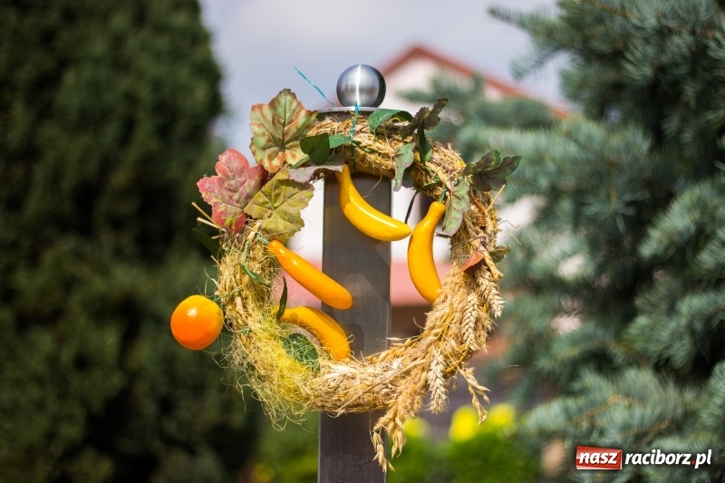 Zdjęcie w galerii na portalu naszraciborz.pl: Kandydatki i rolnicy, czyli powiew młodości na dożynkach w Rudniku  wiadomości z regionu