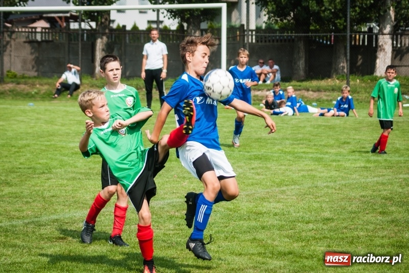 Zdjęcie w galerii na portalu naszraciborz.pl: Kadra Podokręgu Katowice wygrała turniej im. Zbigniewa Oszka wiadomości z regionu