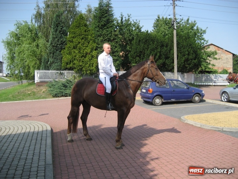 Zdjęcie w galerii na portalu naszraciborz.pl: W Kobyli uroczyście i radośnie świętowano zakończenie tegorocznych żniw wiadomości z regionu