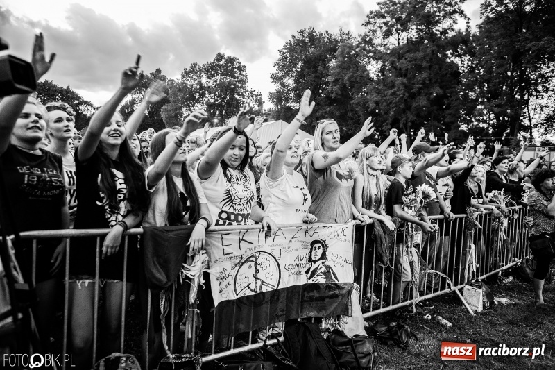 Zdjęcie w galerii na portalu naszraciborz.pl: Kamil Bednarek gwiazdą dożynek wojewódzkich w Tworkowie wiadomości z regionu