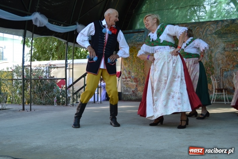 Zdjęcie w galerii na portalu naszraciborz.pl: Zespół Pieśni i Tańca Strzecha promował polski folklor na Węgrzech wiadomości z regionu