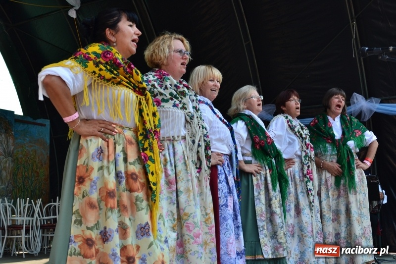 Zdjęcie w galerii na portalu naszraciborz.pl: Zespół Pieśni i Tańca Strzecha promował polski folklor na Węgrzech wiadomości z regionu