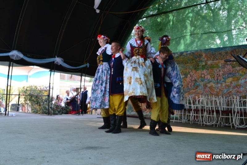 Zdjęcie w galerii na portalu naszraciborz.pl: Zespół Pieśni i Tańca Strzecha promował polski folklor na Węgrzech wiadomości z regionu