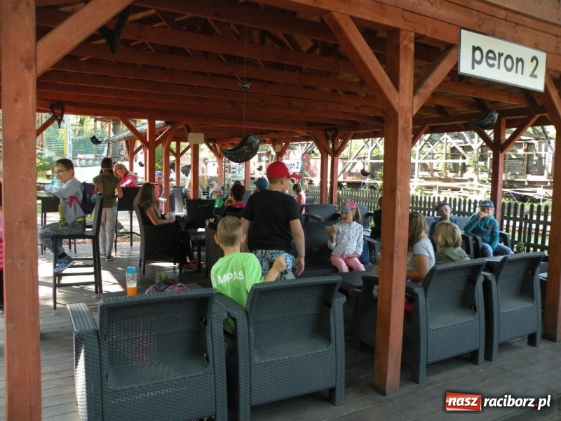 Zdjęcie w galerii na portalu naszraciborz.pl: Tydzień z kulturą w RCK wiadomości z regionu