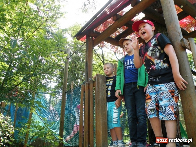 Zdjęcie w galerii na portalu naszraciborz.pl: Tydzień z kulturą w RCK wiadomości z regionu