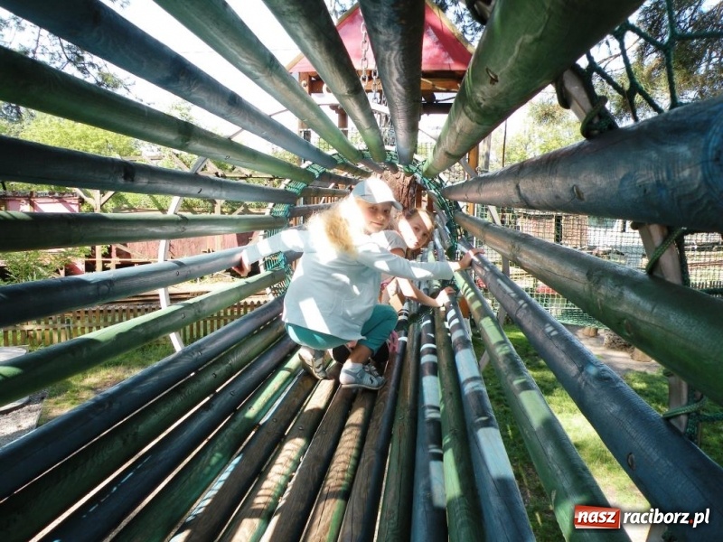 Zdjęcie w galerii na portalu naszraciborz.pl: Tydzień z kulturą w RCK wiadomości z regionu