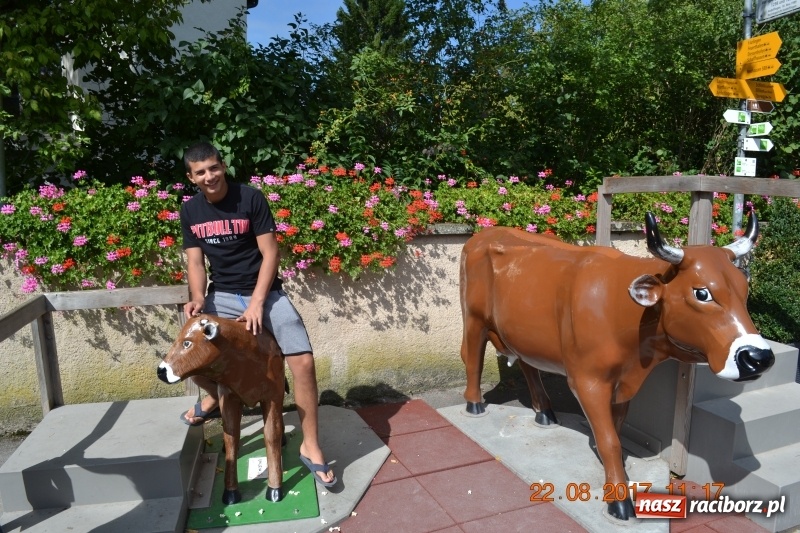 Zdjęcie w galerii na portalu naszraciborz.pl: Zapaśnicy MKZ Unia Racibórz po zgrupowaniu w Niemczech wiadomości z regionu