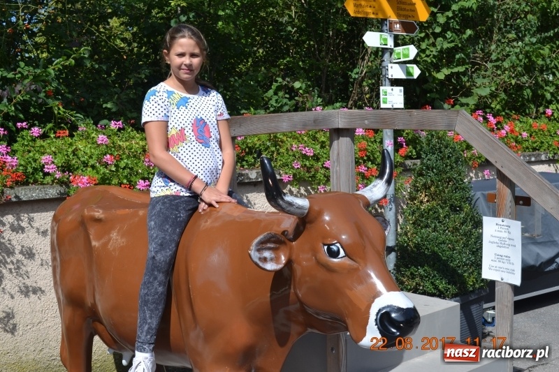 Zdjęcie w galerii na portalu naszraciborz.pl: Zapaśnicy MKZ Unia Racibórz po zgrupowaniu w Niemczech wiadomości z regionu