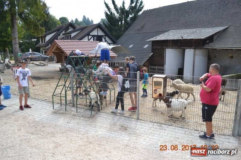 Zdjęcie w galerii na portalu naszraciborz.pl: Zapaśnicy MKZ Unia Racibórz po zgrupowaniu w Niemczech wiadomości z regionu