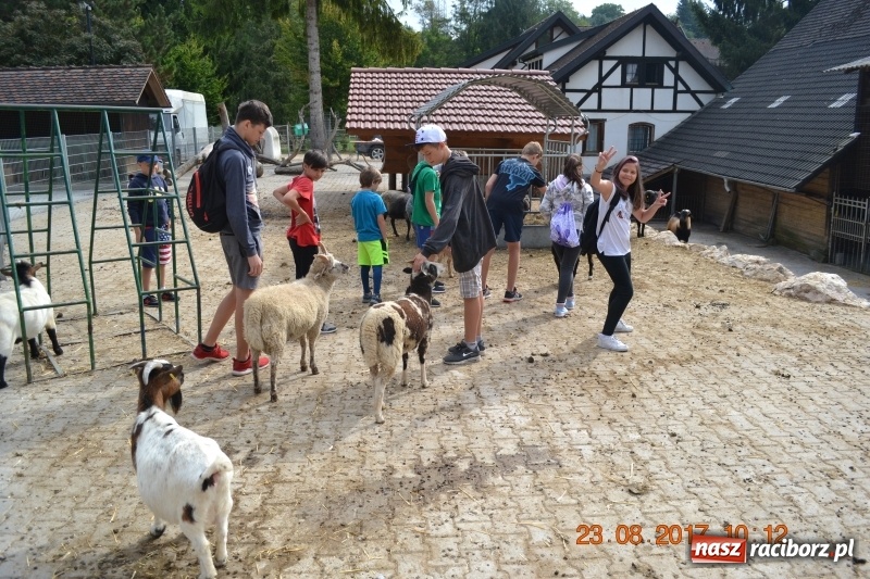 Zdjęcie w galerii na portalu naszraciborz.pl: Zapaśnicy MKZ Unia Racibórz po zgrupowaniu w Niemczech wiadomości z regionu