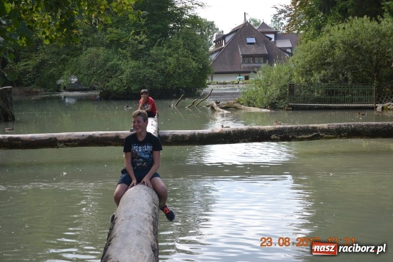 Zdjęcie w galerii na portalu naszraciborz.pl: Zapaśnicy MKZ Unia Racibórz po zgrupowaniu w Niemczech wiadomości z regionu