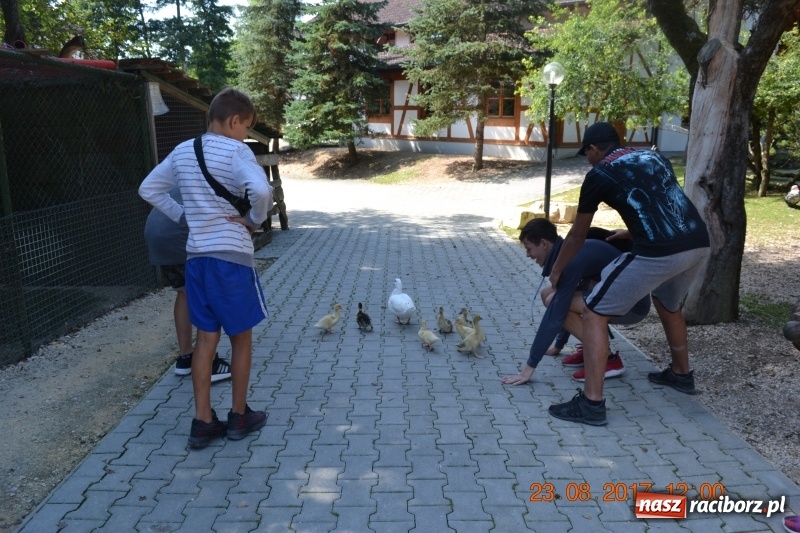 Zdjęcie w galerii na portalu naszraciborz.pl: Zapaśnicy MKZ Unia Racibórz po zgrupowaniu w Niemczech wiadomości z regionu
