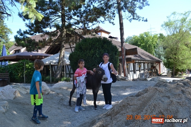 Zdjęcie w galerii na portalu naszraciborz.pl: Zapaśnicy MKZ Unia Racibórz po zgrupowaniu w Niemczech wiadomości z regionu