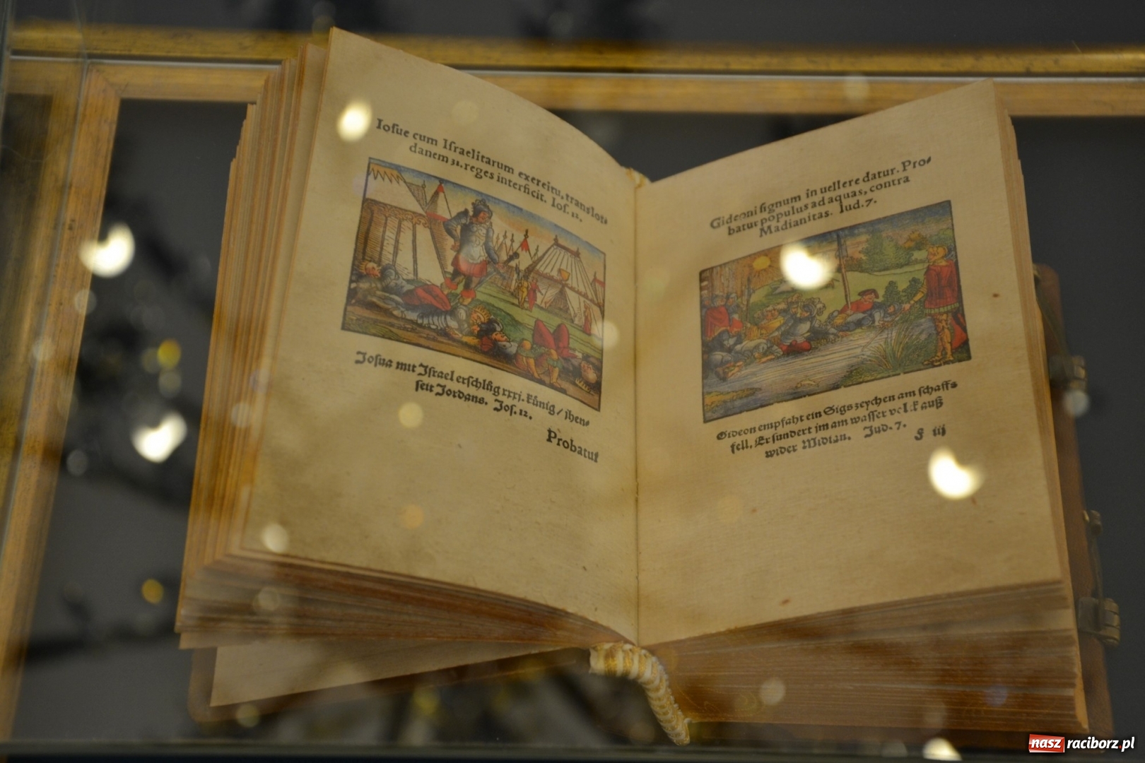 Zdjęcie w galerii na portalu naszraciborz.pl: Wystawa historii Biblii, jedyna taka w Polsce, już na Zamku Piastowskim  wiadomości z regionu