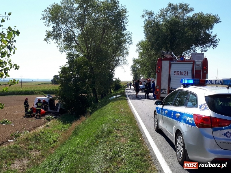 Zdjęcie w galerii na portalu naszraciborz.pl: Tragiczny wypadek na trasie Racibórz - Pietrowice Wielkie na wysokości Żerdzin wiadomości z regionu
