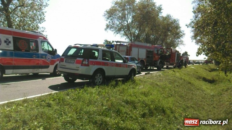 Zdjęcie w galerii na portalu naszraciborz.pl: Tragiczny wypadek na trasie Racibórz - Pietrowice Wielkie na wysokości Żerdzin wiadomości z regionu