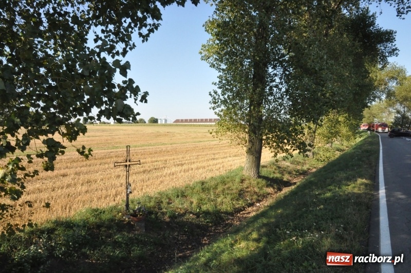 Zdjęcie w galerii na portalu naszraciborz.pl: Tragiczny wypadek na DW 416 Racibórz - Pietrowice Wielkie. Te zdjęcia to OSTRZEŻENIE  wiadomości z regionu