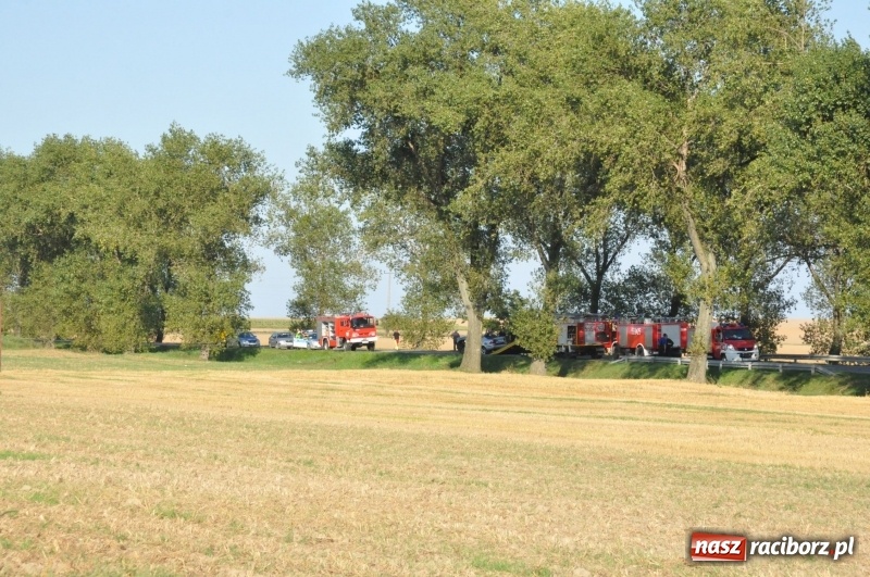 Zdjęcie w galerii na portalu naszraciborz.pl: Tragiczny wypadek na DW 416 Racibórz - Pietrowice Wielkie. Te zdjęcia to OSTRZEŻENIE  wiadomości z regionu
