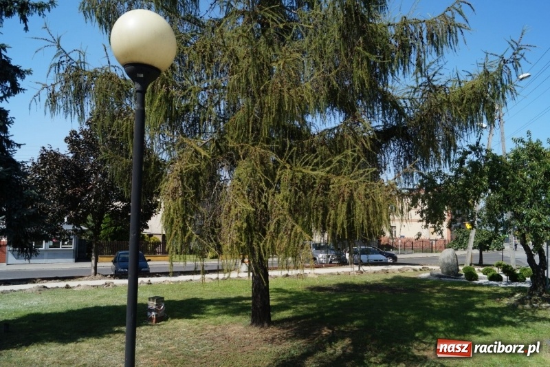 Zdjęcie w galerii na portalu naszraciborz.pl: W Nędzy remontują skwer im. Ernesta Chroboczka wiadomości z regionu