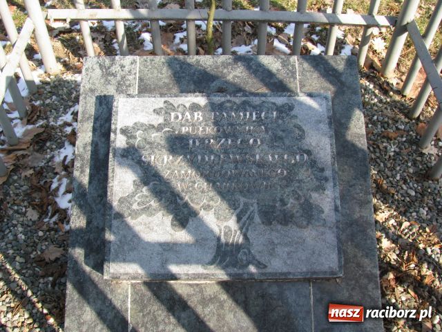 Zdjęcie w galerii na portalu naszraciborz.pl: Uczniowie obchodzili 70 rocznicę zbrodni katyńskiej wiadomości z regionu