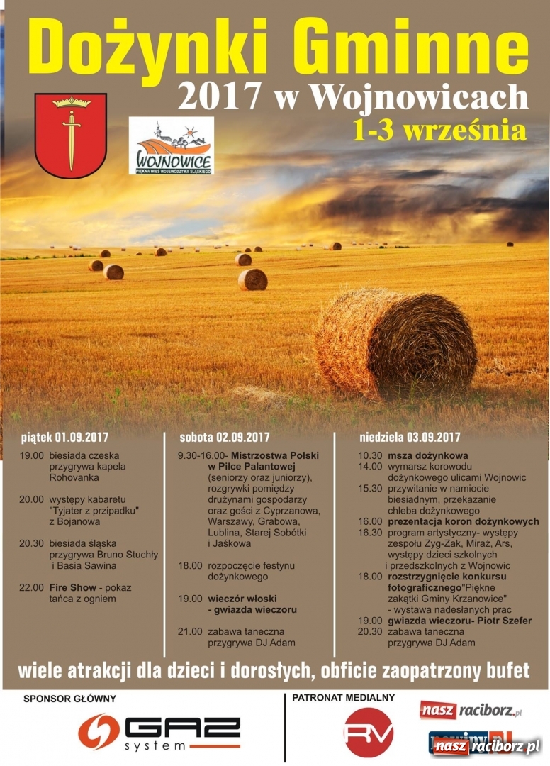 Zdjęcie w galerii na portalu naszraciborz.pl: Biesiada, tyjater i fire show na początek wojnowickich dożynek  wiadomości z regionu