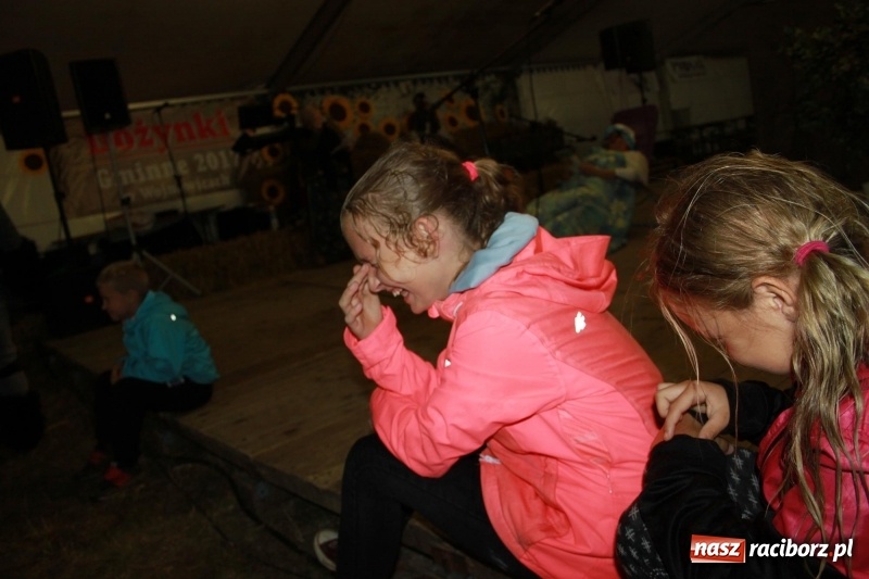 Zdjęcie w galerii na portalu naszraciborz.pl: Biesiada, tyjater i fire show na początek wojnowickich dożynek  wiadomości z regionu