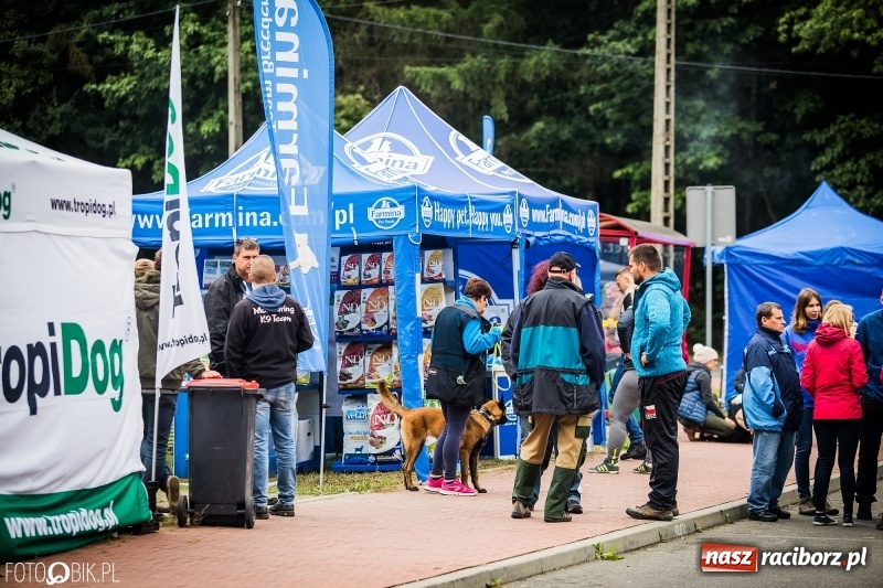 Zdjęcie w galerii na portalu naszraciborz.pl: Mistrzostwa Polski w mondioringu. Do Nędzy zjadą najlepsi trenerzy psów. wiadomości z regionu