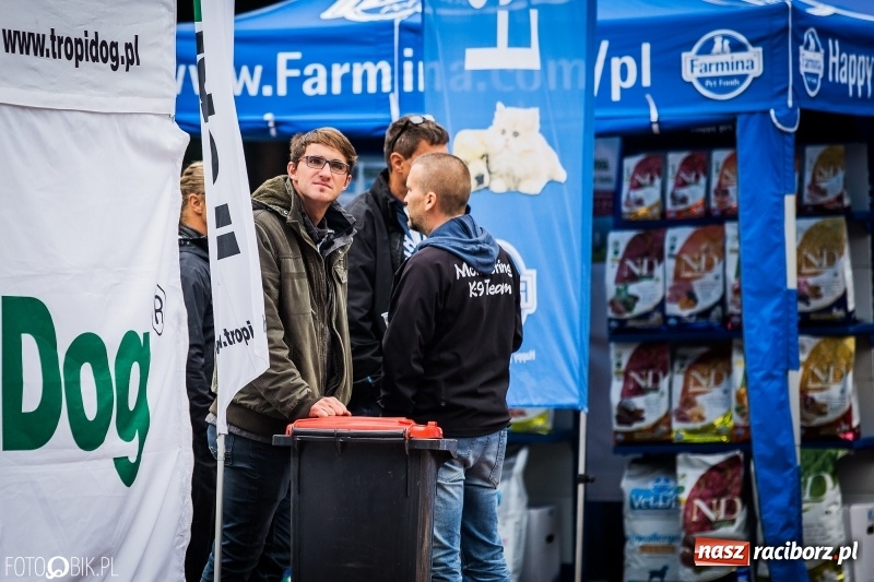 Zdjęcie w galerii na portalu naszraciborz.pl: Mistrzostwa Polski w mondioringu. Do Nędzy zjadą najlepsi trenerzy psów. wiadomości z regionu