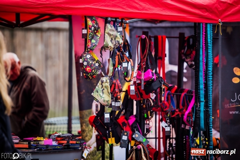 Zdjęcie w galerii na portalu naszraciborz.pl: Mistrzostwa Polski w mondioringu. Do Nędzy zjadą najlepsi trenerzy psów. wiadomości z regionu