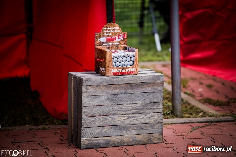 Zdjęcie w galerii na portalu naszraciborz.pl: Mistrzostwa Polski w mondioringu. Do Nędzy zjadą najlepsi trenerzy psów. wiadomości z regionu