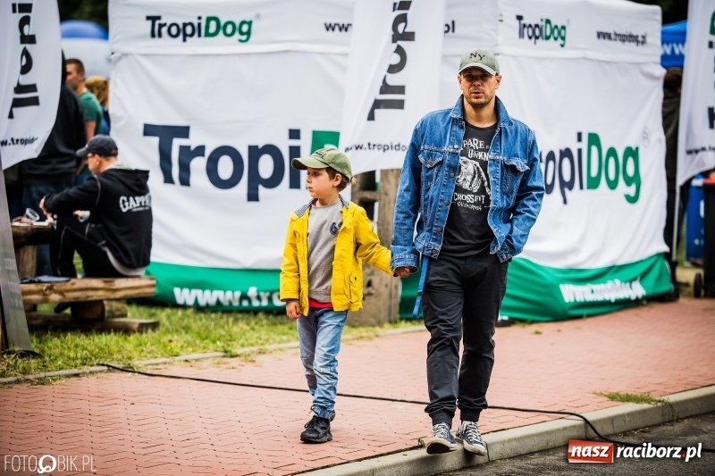 Zdjęcie w galerii na portalu naszraciborz.pl: Mistrzostwa Polski w mondioringu. Do Nędzy zjadą najlepsi trenerzy psów. wiadomości z regionu