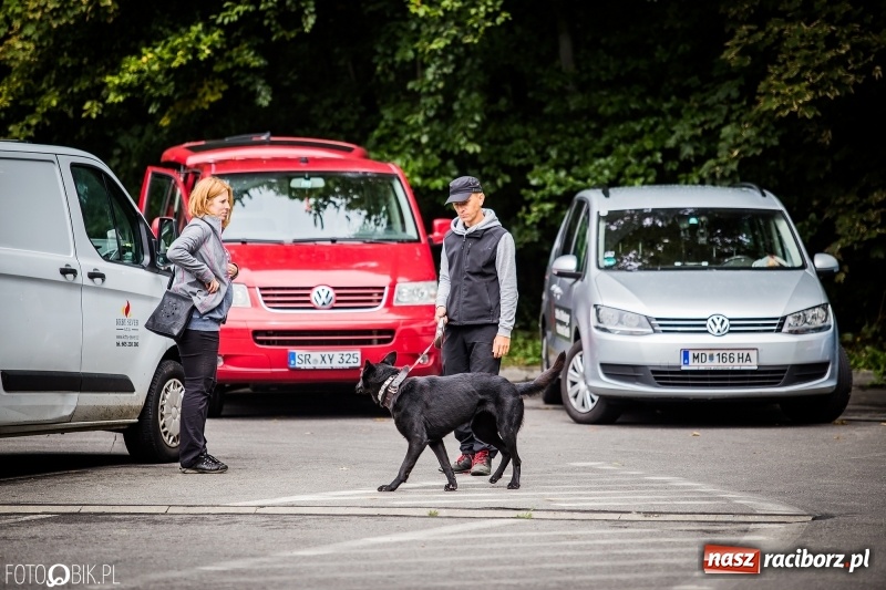 Zdjęcie w galerii na portalu naszraciborz.pl: Mistrzostwa Polski w mondioringu. Do Nędzy zjadą najlepsi trenerzy psów. wiadomości z regionu