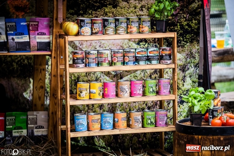 Zdjęcie w galerii na portalu naszraciborz.pl: Mistrzostwa Polski w mondioringu. Do Nędzy zjadą najlepsi trenerzy psów. wiadomości z regionu