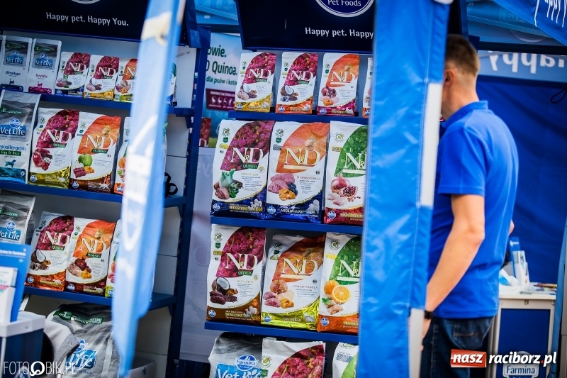 Zdjęcie w galerii na portalu naszraciborz.pl: Mistrzostwa Polski w mondioringu. Do Nędzy zjadą najlepsi trenerzy psów. wiadomości z regionu