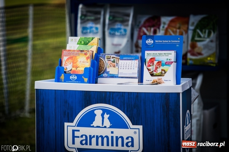 Zdjęcie w galerii na portalu naszraciborz.pl: Mistrzostwa Polski w mondioringu. Do Nędzy zjadą najlepsi trenerzy psów. wiadomości z regionu
