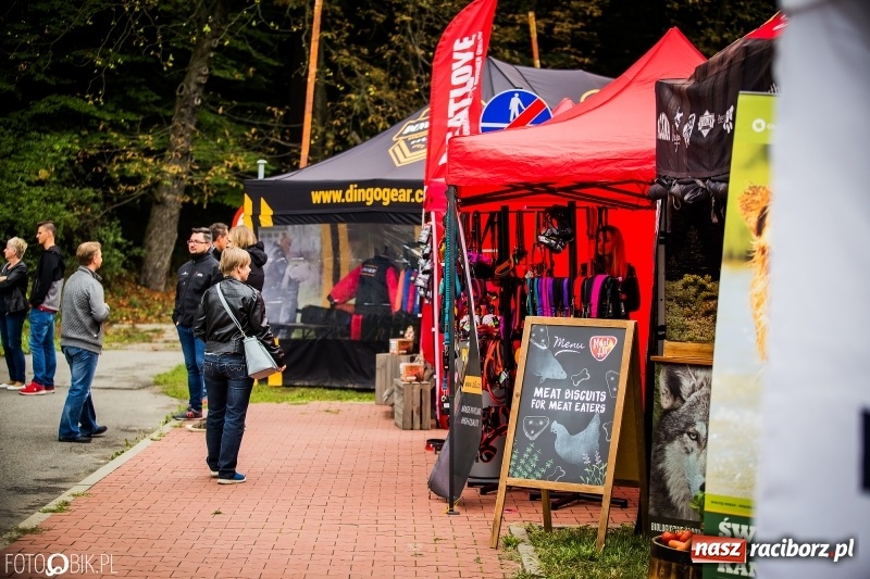 Zdjęcie w galerii na portalu naszraciborz.pl: Mistrzostwa Polski w mondioringu. Do Nędzy zjadą najlepsi trenerzy psów. wiadomości z regionu