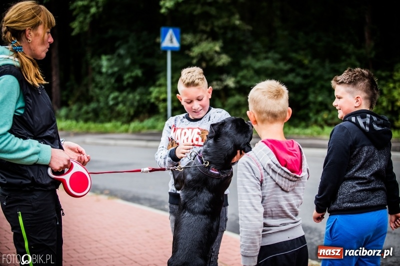 Zdjęcie w galerii na portalu naszraciborz.pl: Mistrzostwa Polski w mondioringu. Do Nędzy zjadą najlepsi trenerzy psów. wiadomości z regionu