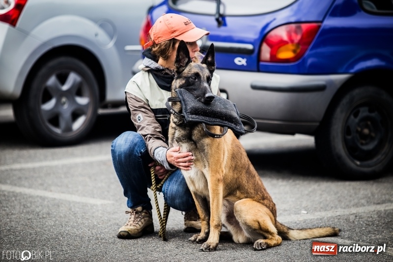 Zdjęcie w galerii na portalu naszraciborz.pl: Mistrzostwa Polski w mondioringu. Do Nędzy zjadą najlepsi trenerzy psów. wiadomości z regionu