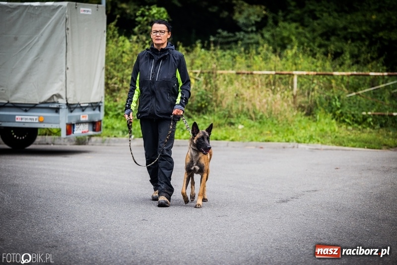 Zdjęcie w galerii na portalu naszraciborz.pl: Mistrzostwa Polski w mondioringu. Do Nędzy zjadą najlepsi trenerzy psów. wiadomości z regionu