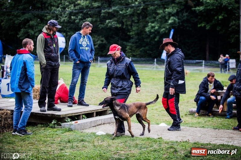 Zdjęcie w galerii na portalu naszraciborz.pl: Mistrzostwa Polski w mondioringu. Do Nędzy zjadą najlepsi trenerzy psów. wiadomości z regionu